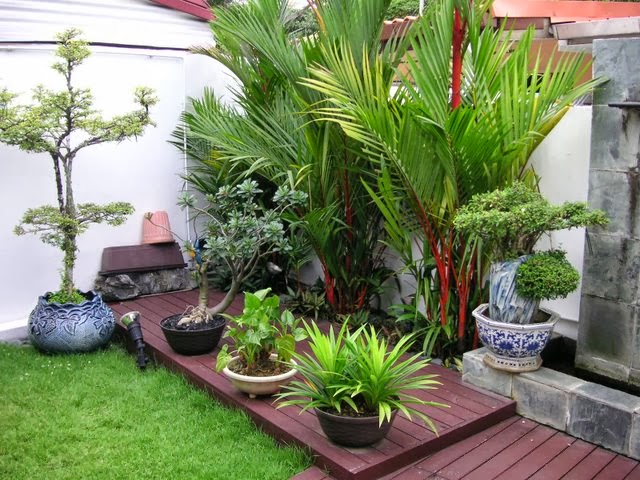 Taman Belakang Rumah Minimalis Tanpa Kolam