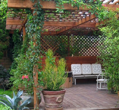 Desain Taman Gantung Rumah Minimalis