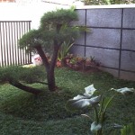 Desain Taman Depan Rumah