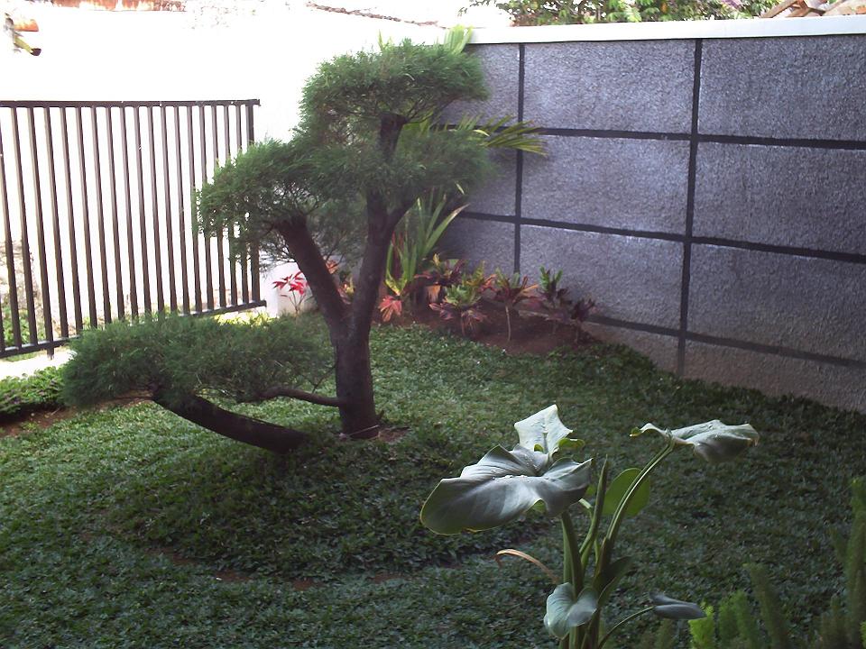 Desain Taman Depan Rumah