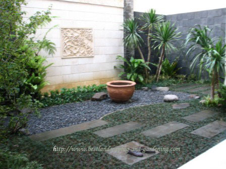 Contoh Gambar Taman Belakang Rumah Sederhana