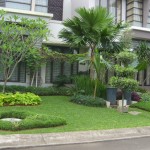 Contoh Taman Rumah Minimalis Istimewa