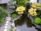 Desain Taman Belakang Rumah Minimalis
