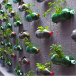 Holcim | Vertical Garden Sebagai Solusi Taman Pada Halaman Sempit
