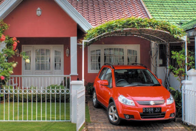 Jenis Tanaman Hias Yang Cocok Untuk Taman Minimalis – Search ...