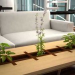 Ruang Tamu Rumah Minimalis Modern Alam