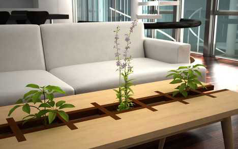 Ruang Tamu Rumah Minimalis Modern Alam