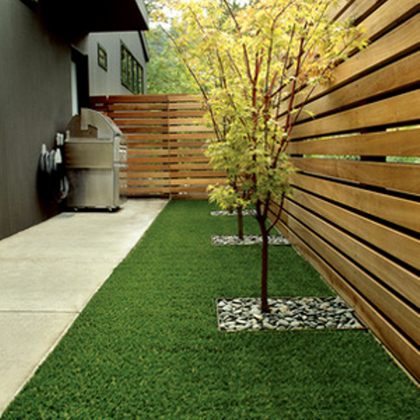 Taman Samping Rumah Minimalis
