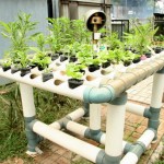 Desain Taman Gantung Rumah Minimalis