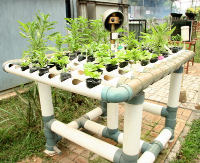 Desain Taman Gantung Rumah Minimalis
