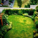 Desain Taman Diatas Rumah Minimalis