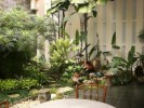 Penataan Teras Rumah Minimalis Modern