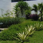 Penataan paving dan kerikil taman minimalis