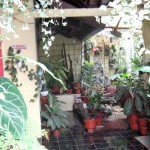 Teras Rumah Minimalis Taman dengan pot minimalis