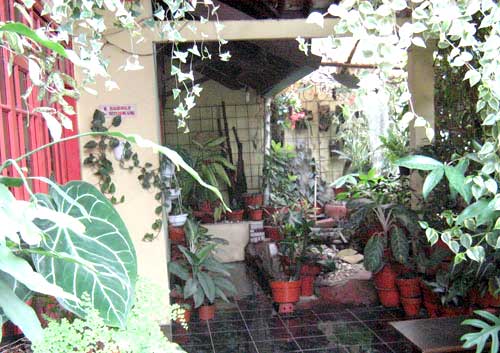 Teras Rumah Minimalis Taman dengan pot minimalis