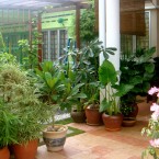 Halaman Depan Rumah Minimalis indah menarik