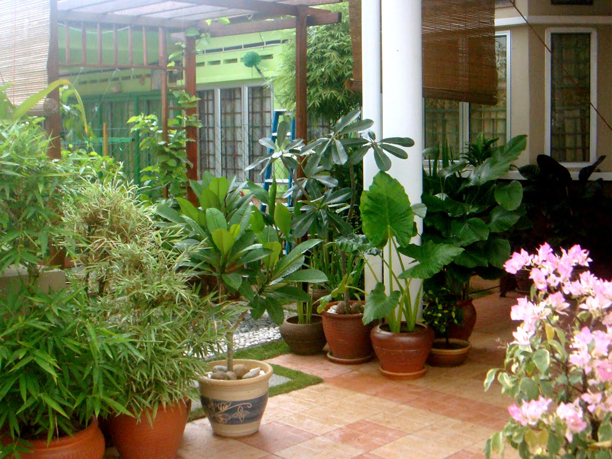 Halaman Depan Rumah Minimalis indah menarik