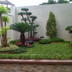 Taman Depan Rumah Minimalis Tipe 36 Lahan Sempit