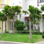 Taman Depan Rumah Minimalis Tipe 36 Lahan Sempit