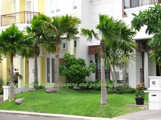 Taman Depan Rumah Minimalis Tipe 36 Lahan Sempit