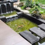 Taman Rumah Minimalis Dengan Kolam Ikan Menarik