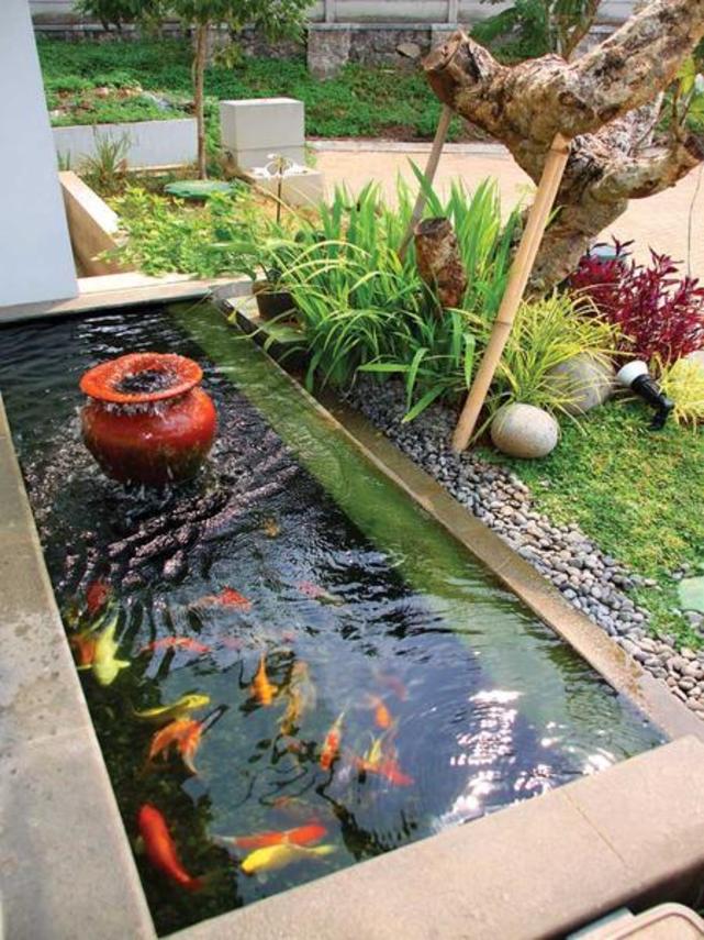 Taman Rumah Minimalis Dengan Kolam Ikan Cantik