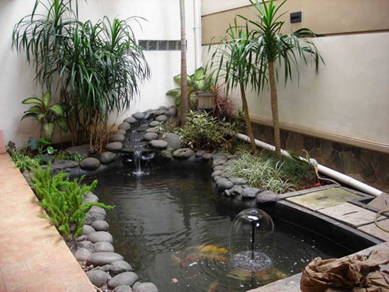 Taman rumah minimalis dengan kolam ikan