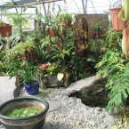 Taman Kecil Depan Rumah Minimalis