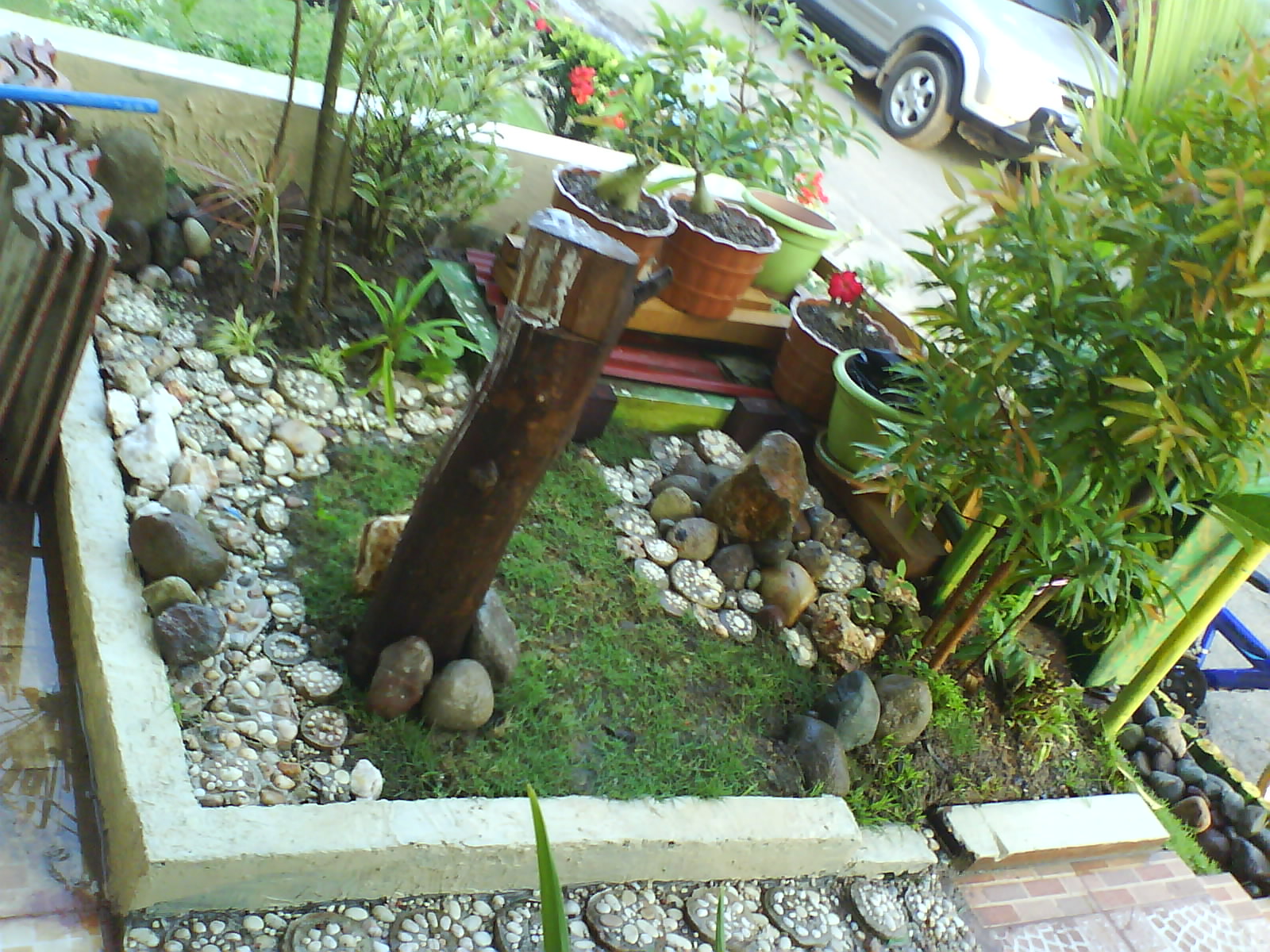 Taman Kecil Depan Rumah Minimalis