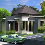 Contoh Rumah Mungil Minimalis 1 Lantai
